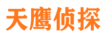 西峰侦探